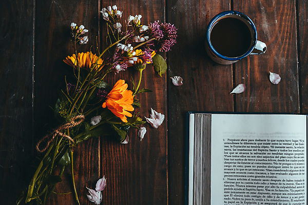 포토 JPG 해외이미지 식물 디자인 꽃 커피 음료 겨울 탁자 아침 휴식 주택 직장 따뜻함 사람없음 내부 목재 장식 책 컵 컬러풀 사무실 독서 햇빛 검은색 침묵 카페 방 머그컵 가을 흰색 업무 뜨거움 조직 작업실 차 책상 주말 리빙 스타일 미니멀 해외포토 주간 나무 식기 계절 컬러 가구 컨셉 회사 비즈니스 재료 건물 태양 상점 소리 작업 파일형식 이미지허브