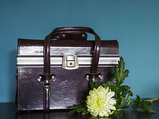 포토 JPG 해외이미지 식물 계절 꽃잎 꽃 벽 잎 꽃무늬 패턴 자연 국화 선물 사람없음 장식 초록색 컬러풀 뷰티 머리 귀여움 정원 봄 의사 벚꽃 흰색 신선 싱글 원예 심플 내추럴 고립 카피스페이스 해외포토 컬러 컨셉 무늬 취미 신체부위 공백 의료진 생태계 파일형식 이미지허브