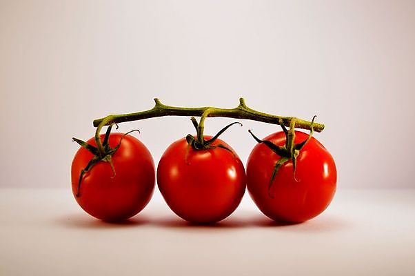 포토 JPG 해외이미지 식물 음식 백그라운드 잎 농업 다이어트 토마토 채소 과일 재료 자연 건강 요리 사람없음 빨간색 초록색 여름 빛 식사 활발 샐러드 성장 흰색 신선 원형 시장 맛 케첩 먹기 오브젝트 싱글 유기농 원예 날것 내추럴 고립 숙성 영양분 채식주의자 해외포토 도형 웰빙 계절 산업 컬러 컨셉 모션 취미 소스_음식 생태계 채식 파일형식 이미지허브