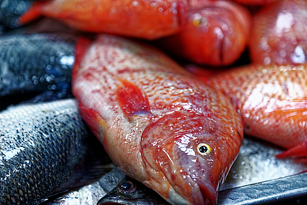 포토 JPG 해외이미지 동물 전통 접시 아시아 음식 바다 분홍색 다이어트 재료 태국 자연 낚시 거리 건강 육류 어류 요리 사람없음 빨간색 세일 얼음 식사 추위 신선 잡기 시장 맛 먹기 해산물 유기농 날것 내추럴 생식 해외포토 자연요소 식기 웰빙 나라 컬러 컨셉 식재료 모션 레저 수중동물 생태계 파일형식 이미지허브