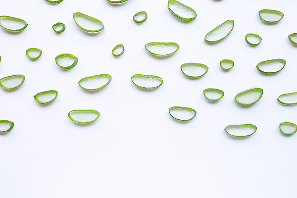 포토 JPG 해외이미지 스튜디오촬영 단면 실내 사람없음 하이앵글 뷰티 흰배경 알로에 해외포토 식물 뷰포인트 백그라운드 내부 흰색 파일형식 이미지허브