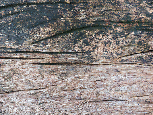 포토 JPG 해외이미지 아이콘 디자인 외관 벽 백그라운드 패턴 오렌지 벽지 벽돌 돌담 사람없음 내부 목재 빨간색 빛 울타리 컬러풀 블록 수확 바위 얼룩 거친 수리 건축가 큼 그림 질감 시멘트 고체 스타일링 어려움 옛날 평야 스타일 해외포토 나무 직업 컬러 무늬 농업 과일 재료 자연 담장 돌_바위 크기 파일형식 이미지허브