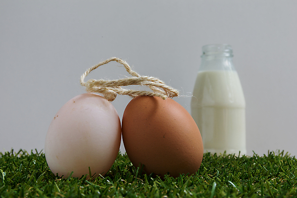 포토 JPG 해외이미지 전통 커플 행복 음식 결혼 백그라운드 재료 자연 남편 부활절 기념 함께함 건강 사랑 요리 미소 사람없음 농장 갈색 노란색 계란 치킨 우유 껍질 흰색 축하 신선 아내 그룹 아침식사 먹기 유기농 날것 내추럴 단백질 생식 취급주의 해외포토 웰빙 기념일 감정 컬러 컨셉 농업 관계 모션 유제품 표정 경고 이벤트 알 식사 생태계 닭고기요리 영양소 파일형식 이미지허브