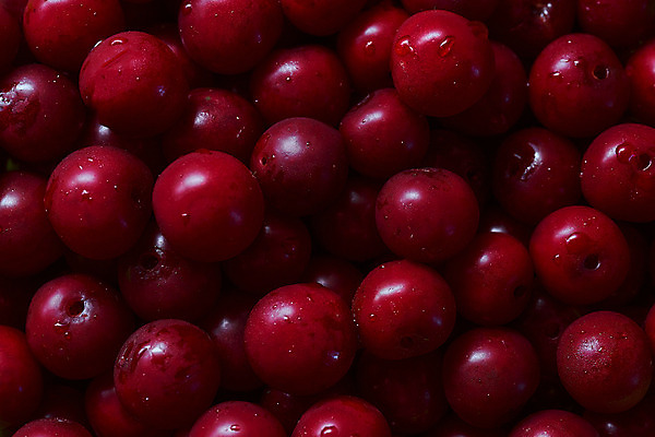 포토 JPG 해외이미지 백그라운드 실내 근접촬영 사람없음 빨간색 체리 가득함 해외포토 뷰포인트 컬러 과일 내부 파일형식 이미지허브