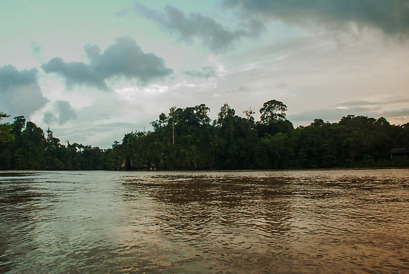 포토 JPG 해외이미지 나무 동물 구름 공원 아시아 야생동물 섬 여행 백그라운드 자연 하늘 날씨 산 동양인 풍경 사람없음 목재 초록색 물 파란색 강 컬러풀 갈색 가을 원숭이 보트 숲 큼 열대우림 인도네시아 말레이시아 아마존 전국 효과 해외포토 자연요소 식물 계절 공공시설 나라 컬러 배_교통 재료 포유류 인종 크기 생태계 파일형식 이미지허브