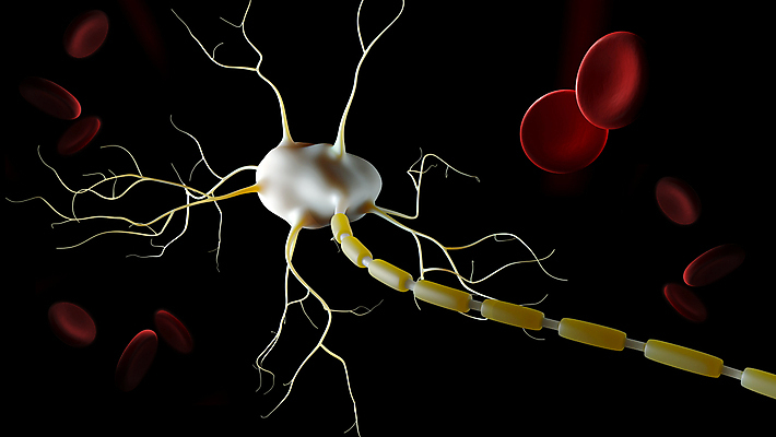포토 JPG 해외이미지 과학 신체 일러스트 해부 세포 건강 사람 사람없음 그래픽 인포그래픽 고통 정보 네트워크 오르간 코드 불안 피부 척추 뇌 그림 신호 시스템 암 자외선 해외일러스트 감정 의학 뼈 신체부위 건반악기 질병 파일형식 이미지허브