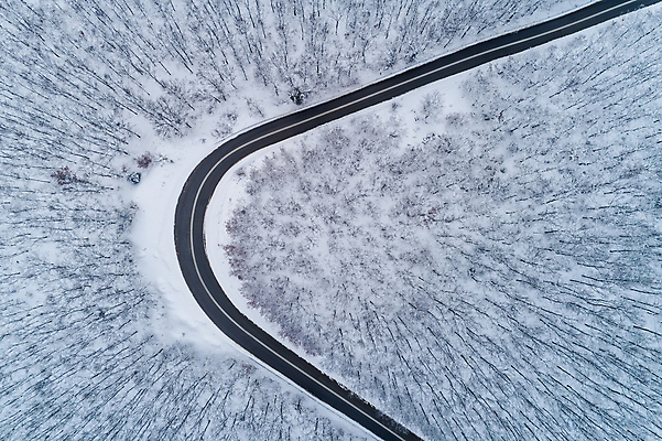 포토 JPG 해외이미지 나무 계절 도로 야생동물 여행 백그라운드 겨울 자동차 자연 날씨 스키 산 안테나 파노라마 사람없음 야외 목재 뷰티 환경 냉동 얼음 추위 탐험 흰색 시골 신선 정상 숲 시원함 서리 내추럴 드론 뿌연 수평선 해외포토 자연요소 식물 동물 길 육상교통 컬러 재료 통신 교통시설 겨울스포츠 촬영기법 생태계 파일형식 이미지허브