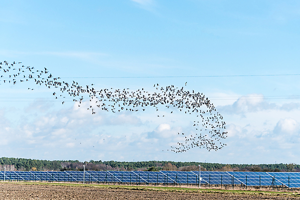 포토 JPG 해외이미지 산업 조류 하늘 표면 세포 사람없음 파란색 햇빛 태양 환경 맑음 힘 재활용 장비 발전기 에너지 판넬 태양에너지 세대 패널 혁명 넘어짐 생태학 많음 획기적 해외포토 자연요소 동물 교육 컬러 컨셉 모션 날씨 발전소 그린에너지 친환경 파일형식 이미지허브