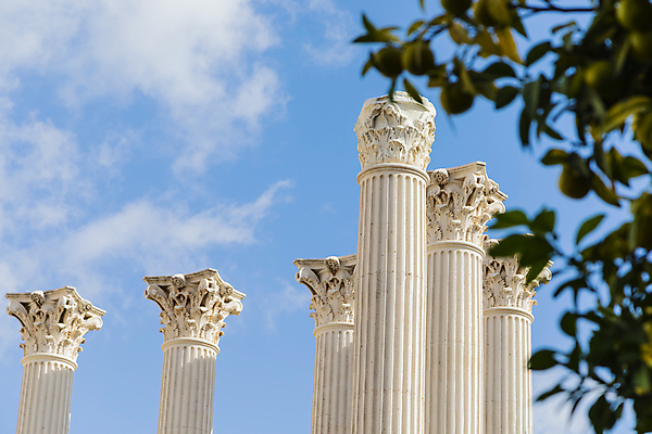 포토 JPG 해외이미지 백그라운드 하늘 추상 사람없음 가로 관광지 올려보기 사찰 화려 그룹 중세 역사 천장 이탈리아문화 법원 랜드마크 옛날 스타일 해외포토 여행 컨셉 무늬 종교건축 모션 유럽문화 파일형식 이미지허브