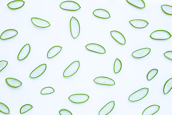 포토 JPG 해외이미지 스튜디오촬영 단면 실내 사람없음 하이앵글 뷰티 흰배경 알로에 해외포토 식물 뷰포인트 백그라운드 내부 흰색 파일형식 이미지허브