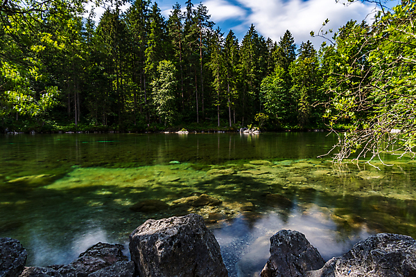 포토 JPG 해외이미지 나무 응시 계절 호수 여행 자연 표면 휴가 산 파노라마 사람없음 야외 초록색 물 햇빛 맑음 하이킹 시골 숲 알프스 장면 내추럴 절정 바이에른 바이에른사람 강조 해외포토 자연요소 식물 시선 유럽 컬러 레저 날씨 독일 촬영기법 태양 생태계 파일형식 이미지허브