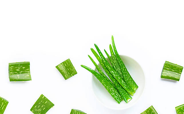 포토 JPG 해외이미지 스튜디오촬영 실내 사람없음 하이앵글 뷰티 사기그릇 흰배경 알로에 해외포토 식물 그릇 뷰포인트 백그라운드 내부 흰색 파일형식 이미지허브