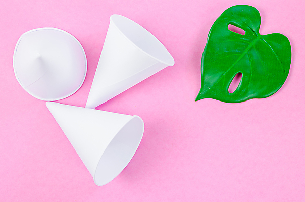 포토 JPG 해외이미지 실내 사람없음 자연보호 종이컵 일회용 오브젝트 에코 친환경 에코라이프 원뿔 몬스테라 분홍색배경 제로웨이스트 해외포토 도형 식물 라이프스타일 분홍색 백그라운드 자연 내부 컵 환경 그린캠페인 보호 사회이슈 파일형식 이미지허브