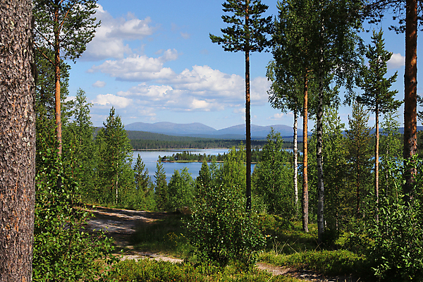 포토 JPG 해외이미지 구름 호수 자국 자연 하늘 산 핀란드 풍경 사람없음 물 여름 파란색 하이킹 연못 소나무 황무지 숲 언덕 자작나무 수평선 해외포토 자연요소 나무 계절 컬러 레저 북유럽 생태계 파일형식 이미지허브
