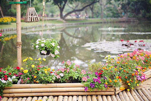 포토 JPG 해외이미지 식물 공원 꽃잎 꽃 도로 분홍색 백그라운드 잎 꽃무늬 밭 부분 자연 국화 풍경 잔디 사람없음 야외 빨간색 초록색 여름 컬러풀 뷰티 노란색 정원 봄 활발 벚꽃 흰색 신선 개화 대나무 원예 조경 내추럴 뒤뜰 비올라 영원 해외포토 나무 계절 공공시설 길 컬러 컨셉 무늬 농업 교통시설 취미 생태계 파일형식 찰현악기 이미지허브