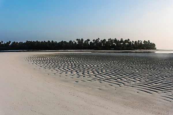 포토 JPG 해외이미지 나무 모래 파도 바다 곡선 자연 아침 휴가 건조 그림자 사람없음 물 파란색 태양 일출 일몰 흰색 뜨거움 저녁 질감 코코넛 멀리 해외포토 주간 자연요소 식물 선 컬러 과일 노을 야간 생태계 파일형식 이미지허브