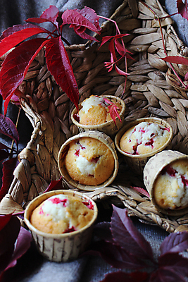 포토 JPG 해외이미지 스튜디오촬영 잎 사람없음 빨간색 볏짚 컵케이크 오브젝트 해외포토 식물 컬러 실내 케이크 짚 파일형식 이미지허브