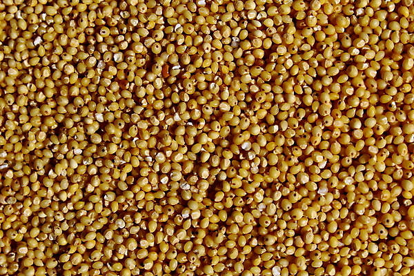 포토 JPG 해외이미지 음식 백그라운드 패턴 재료 건조 건강 씨앗 사람없음 가로 노란색 선택 먹이 낟알 시리얼 먹기 가득함 질감 섬유 수수 작살 해외포토 식물 컬러 컨셉 무늬 모션 직물 파일형식 이미지허브