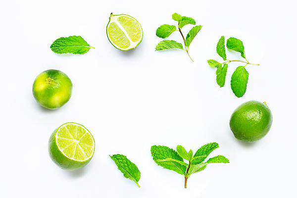 포토 JPG 해외이미지 잎 단면 사람없음 흰배경 라임 카피스페이스 해외포토 식물 백그라운드 과일 공백 흰색 파일형식 이미지허브