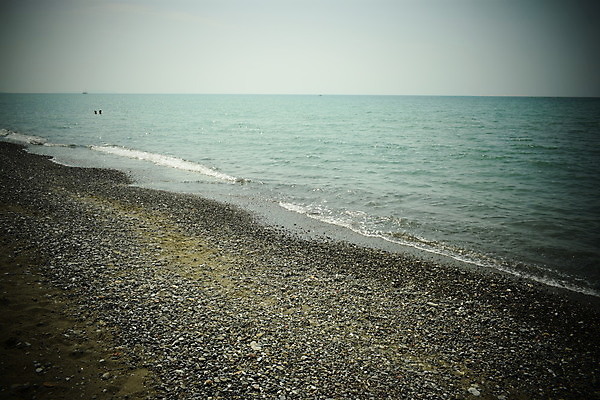 포토 JPG 해외이미지 나무 유럽 바다 자연 휴가 풍경 해변 사람없음 야외 목재 여름 태양 이탈리아 안개 소나무 황무지 분위기 숲 지중해 토스카나 해외포토 자연요소 식물 계절 나라 컨셉 재료 날씨 생태계 파일형식 이미지허브