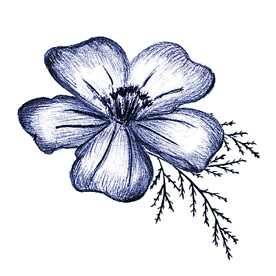 포토 JPG 해외이미지 식물 디자인 꽃잎 꽃 결혼 셔츠 잎 꽃무늬 일러스트 휴가 흑백 미술 사람없음 그래픽 장식 파란색 연필 수확 성장 벚꽃 나뭇가지 신용카드 생일 인쇄 스케치 문신 오브젝트 그림 복고 엽서 손그림 T 고립 엘리먼트 디테일 해외일러스트 나무 알파벳 기념일 컬러 상의 무늬 농업 문화예술 학용품 촬영기법 이벤트 금융 필기구 편지 파일형식 이미지허브