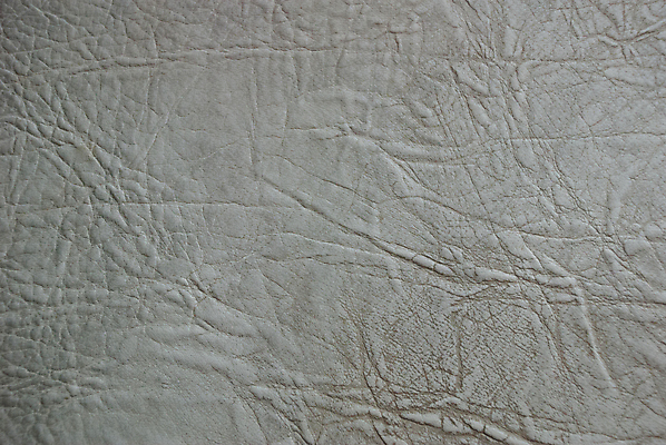 포토 JPG 해외이미지 아시아 호수 야생동물 파충류 아프리카 태국 사람없음 물 강 농장 머리 검은색 수영 힘 경쟁 연못 입 황무지 치아 위험 라이벌 위협 사파리 피부 공룡 눈금 꼬리 사냥 도마뱀 육식동물 악어 사냥꾼 숨김 나쁜 몬스터 힘찬 해외포토 자연요소 동물 직업 나라 컬러 컨셉 농업 신체부위 수상스포츠 소화기관 파일형식 이미지허브