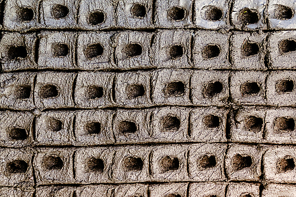 포토 JPG 해외이미지 식물 전통 남자 문화 지구 잎 밭 농업 자연 아침 씨앗 사람 사람없음 농작물 농장 새싹 일출 환경 정원 흙 봄 수확 성장 시골 신선 작업 농부 유기농 원예 질감 조경 먼지 장면 땅바닥 모종 묘목 밭일 해외포토 주간 나무 직업 웰빙 계절 산업 바닥 취미 노을 생태계 파일형식 이미지허브