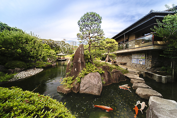 포토 JPG 해외이미지 나무 식물 구름 계절 공원 꽃잎 선 줄기 분홍색 백그라운드 단풍 잎 자연 하늘 이끼 사람없음 야외 세로 파란색 컬러풀 태양 뷰티 노란색 정원 일본 봄 폭포 흰색 나뭇가지 연못 신선 화려 도쿄 그림 붓꽃 내추럴 창백 방법 해외포토 자연요소 공공시설 꽃 아시아 컬러 컨셉 생태계 파일형식 이미지허브