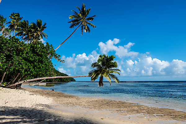 포토 JPG 해외이미지 나무 구름 라이프스타일 모래 바다 섬 여행 백그라운드 자연 하늘 휴가 휴식 손바닥 풍경 사람없음 야외 초록색 물 여름 파란색 컬러풀 태양 맑음 흰색 휴양지 코코넛 이국적 파라다이스 해외포토 자연요소 식물 손 계절 컬러 컨셉 과일 날씨 생활 장소 생태계 파일형식 이미지허브