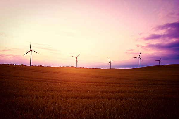 포토 JPG 해외이미지 식물 산업 밭 농업 자연 하늘 바람 미래 안전 풍경 사람없음 초록색 파란색 글로벌 태양 농장 환경 힘 일몰 재활용 풍차 발전기 에너지 흰색 바퀴 역 보호 생태계 프로펠러 자원 세대 유지 방앗간 혁명 개발 생태학 공급 해외포토 자연요소 교육 컬러 컨셉 교통시설 날씨 노을 발전소 친환경 파일형식 이미지허브