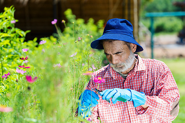 포토 JPG 해외이미지 식물 백인 할아버지 꽃 행복 장갑 자연 함께함 건강 파노라마 한명 사람 성인 취미 정원 흙 수확 잡기 아내 업무 작업 닫기 자르기 은퇴 원예 조경 선배 뒤뜰 땅바닥 심기 원예사 해외포토 서양인 직업 1 잡화 노년 남자 감정 컨셉 농업 모션 바닥 촬영기법 생태계 파일형식 이미지허브