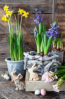 포토 JPG 해외이미지 전통 꽃 분홍색 꽃무늬 봄꽃 휴가 사람없음 목재 장식 세로 컬러풀 축제 봄 시골 토끼 부활절계란 수선화 해외포토 나무 식물 계절 컬러 무늬 재료 포유류 부활절 반려동물 계란 파일형식 이미지허브