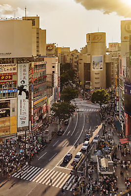 포토 JPG 해외이미지 도로 비즈니스 건축양식 자동차 하늘 휴가 미래 거리 안테나 사람 풍경 사람없음 야외 건물 쇼핑 도시풍경 사무실 일본 고층빌딩 일몰 도시 보행자 횡단보도 도쿄 군중 사인 속도 광장 시티라이프 건너기 해외포토 라이프스타일 건축물 건축 아시아 길 육상교통 컨셉 통신 교통시설 모션 빌딩 노을 보행로 파일형식 이미지허브