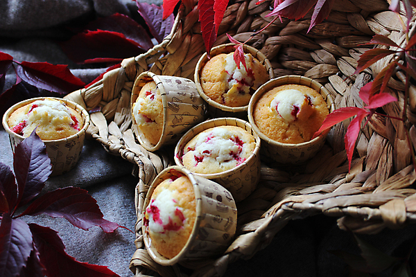 포토 JPG 해외이미지 스튜디오촬영 잎 사람없음 빨간색 볏짚 컵케이크 오브젝트 해외포토 식물 컬러 실내 케이크 짚 파일형식 이미지허브