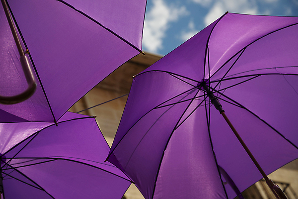 포토 JPG 해외이미지 모양 백그라운드 컨셉 오렌지 우산 자연 추상 거리 매달리기 창조 미술 사람없음 야외 건물 장식 햇빛 노란색 유행 맑음 보라색 축제 도시 작음 메인 질감 타운 라벤더 해외포토 건축물 꽃 컬러 무늬 과일 모션 날씨 문화예술 태양 크기 허브 생태계 파일형식 이미지허브