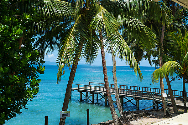 포토 JPG 해외이미지 나무 라이프스타일 호수 바다 섬 여행 백그라운드 자연 하늘 낚시 휴가 손바닥 풍경 사람없음 야외 목재 물 여름 파란색 태양 항구 침묵 정상 방파제 코코넛 단상 이국적 파라다이스 그리너리 포트폴리오 해외포토 자연요소 식물 손 계절 공공시설 컬러 과일 재료 교통시설 레저 생활 소리 생태계 파일형식 트랜드컬러 이미지허브