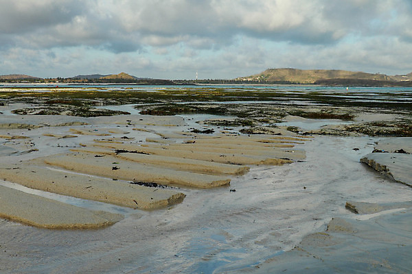 포토 JPG 해외이미지 선 모래 파도 바다 여행 백그라운드 패턴 자연 조류 하늘 표면 추상 휴가 해변 사람없음 야외 물 파란색 모래사장 햇빛 태양 뷰티 환경 흐름 만 개울 썰물 묘사 질감 역동적 내추럴 수평선 디테일 해외포토 자연요소 동물 컬러 컨셉 무늬 강 생태계 파일형식 이미지허브