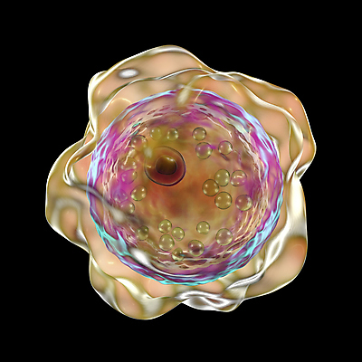 포토 JPG 해외이미지 백그라운드 일러스트 생물 세포 건강 현미경 사람없음 물 3D 디지털 검은색 흙 무대 질병 뇌 싱글 생물학 감염 미생물 기생충 고립 해외일러스트 자연요소 교육 컬러 의학 실험기구 바이러스 디지털합성 파일형식 이미지허브