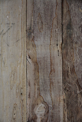 포토 JPG 해외이미지 나무 선 백그라운드 자연 사람없음 목재 그래픽 쌓기 문 널 연결 손톱 질감 층 작살 해외포토 식물 손 재료 모션 생태계 파일형식 이미지허브