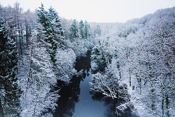 포토 JPG 해외이미지 나무 계절 조각 이동 잎 크리스마스 겨울 자연 하늘 날씨 사람없음 야외 목재 초록색 물 강 농장 걷기 얼음 축제 침묵 놀람 하이킹 추위 흰색 나뭇가지 시골 시원함 오솔길 호기심 질감 서리 솜털 사이클링 삼림지대 해외포토 자연요소 식물 기념일 감정 길 컬러 컨셉 농업 재료 모션 레저 표정 소리 숲 육상스포츠 생태계 파일형식 이미지허브
