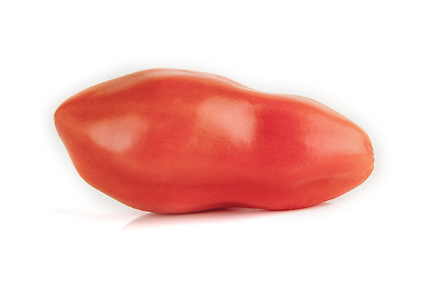 포토 JPG 해외이미지 1 패턴 토마토 채소 과일 재료 자연 벽지 건강 사람없음 빨간색 초록색 빛 농작물 노란색 쌓기 수확 흰색 신선 체리 그룹 시장 달콤 작음 자르기 먹기 오브젝트 싱글 유기농 질감 날것 광택 흙더미 고립 숙성 채식주의자 많음 카피스페이스 비건 해외포토 웰빙 컬러 컨셉 무늬 농업 모션 흙 공백 맛 크기 생태계 채식 파일형식 더미 이미지허브