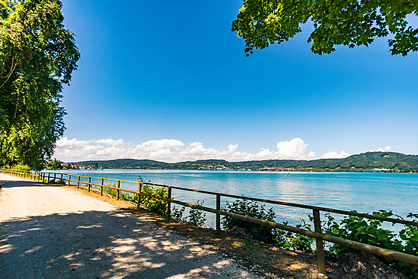 포토 JPG 해외이미지 나무 응시 계절 스포츠 여행 자국 모션 자연 휴가 휴식 거리 건강 사람없음 야외 초록색 물 환경 골짜기 봄 하이킹 자유 시골 숲 배낭여행 천국 생태학 파멸 해외포토 자연요소 식물 시선 교육 컬러 컨셉 레저 생태계 파일형식 소멸 이미지허브