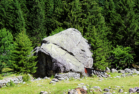 포토 JPG 해외이미지 나무 지구 조각 자연 산 풍경 사람없음 야외 얼음 흰색 소나무 큼 부식 빙하 알프스 내추럴 지질학 화강암 해외포토 자연요소 식물 교육 유럽 컬러 암석 크기 생태계 파일형식 이미지허브