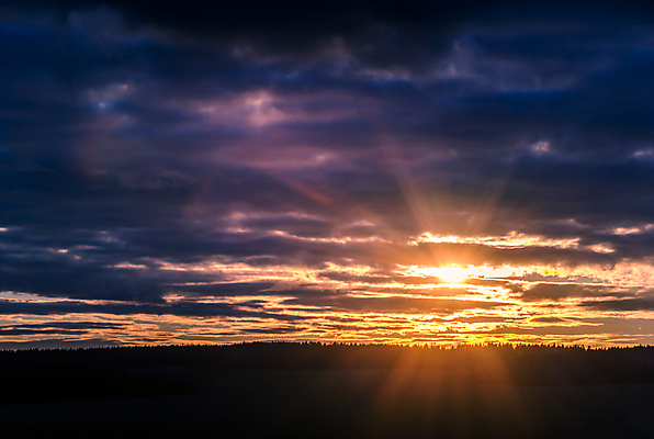 포토 JPG 해외이미지 나무 실루엣 오렌지 자연 하늘 아침 휴식 사람없음 야외 빛 컬러풀 평화 일출 일몰 봄 새벽 황금 야간 저녁 숲 장면 천국 수평선 카피스페이스 해외포토 주간 자연요소 식물 계절 컬러 컨셉 과일 촬영기법 노을 공백 생태계 파일형식 이미지허브