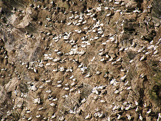 포토 JPG 해외이미지 구름 바다 섬 여행 자연 하늘 휴가 풍경 사람없음 야외 물 파란색 햇빛 환경 맑음 흰색 대서양 내추럴 스코틀랜드 해외포토 자연요소 컬러 날씨 영국 태양 생태계 파일형식 이미지허브