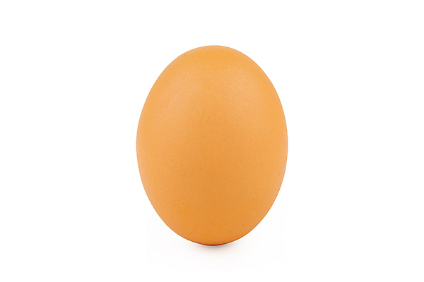 포토 JPG 해외이미지 동물 1 길 음식 백그라운드 곡선 다이어트 재료 자연 부활절 건강 요리 서기 사람없음 세로 농장 갈색 노란색 우주 계란 치킨 껍질 흰색 신선 아침식사 상품 자르기 먹기 가득함 오브젝트 싱글 유기농 날것 노른자 고립 단백질 삶기 생식 암탉 취급주의 해외포토 웰빙 기념일 선 컬러 농업 모션 경고 알 식사 닭 암컷 생태계 닭고기요리 영양소 파일형식 이미지허브