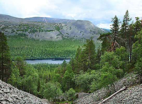 포토 JPG 해외이미지 나무 구름 공원 호수 여행 백그라운드 자연 하늘 핀란드 풍경 사람없음 야외 초록색 물 여름 파란색 강 반사 골짜기 하이킹 바위 황무지 언덕 북쪽 내추럴 산악지대 스칸디나비아 해외포토 자연요소 식물 계절 공공시설 컬러 레저 산 북유럽 돌_바위 방향 생태계 파일형식 이미지허브