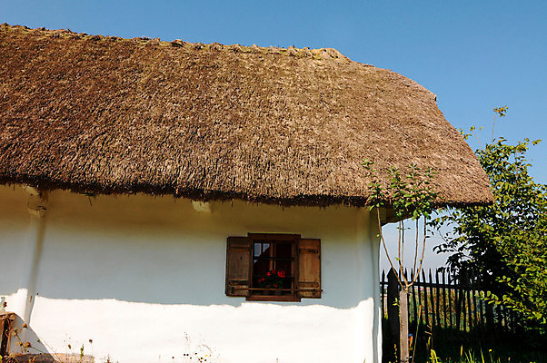 포토 JPG 해외이미지 건축양식 지붕 주택 사람없음 건물 밀짚 리빙 구역 렌탈 임대 생존 해외포토 건축물 건축 경제 짚 파일형식 이미지허브
