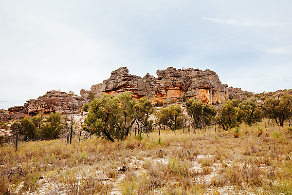 포토 JPG 해외이미지 나무 길 여행 자연 산 건조 미술 사람없음 야외 관광지 황무지 역사 동굴 재산 원주민 호주 언덕 질감 고고학 지질학 해외포토 식물 교육 문화예술 금융 아프리카인 오세아니아 생태계 파일형식 이미지허브