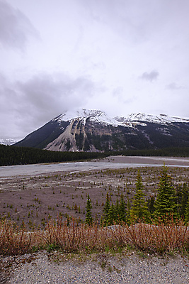 포토 JPG 해외이미지 나무 구름 공원 도로 호수 여행 캐나다 자연 하늘 휴가 영국 산 국립공원 풍경 사람없음 야외 목재 물 여름 파란색 강 반사 하이킹 추위 황무지 숲 빙하 내추럴 밴프 빙원 앨버타 전국 로키산맥 산맥 해외포토 자연요소 식물 계절 공공시설 유럽 길 컬러 북아메리카 재료 교통시설 레저 생태계 파일형식 이미지허브